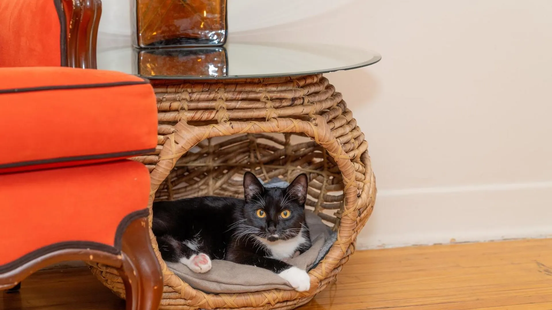 Room In Cozy House Close To Lawrence Ave, Wifi, Parking Toronto Quarto em Acomodações Particulares