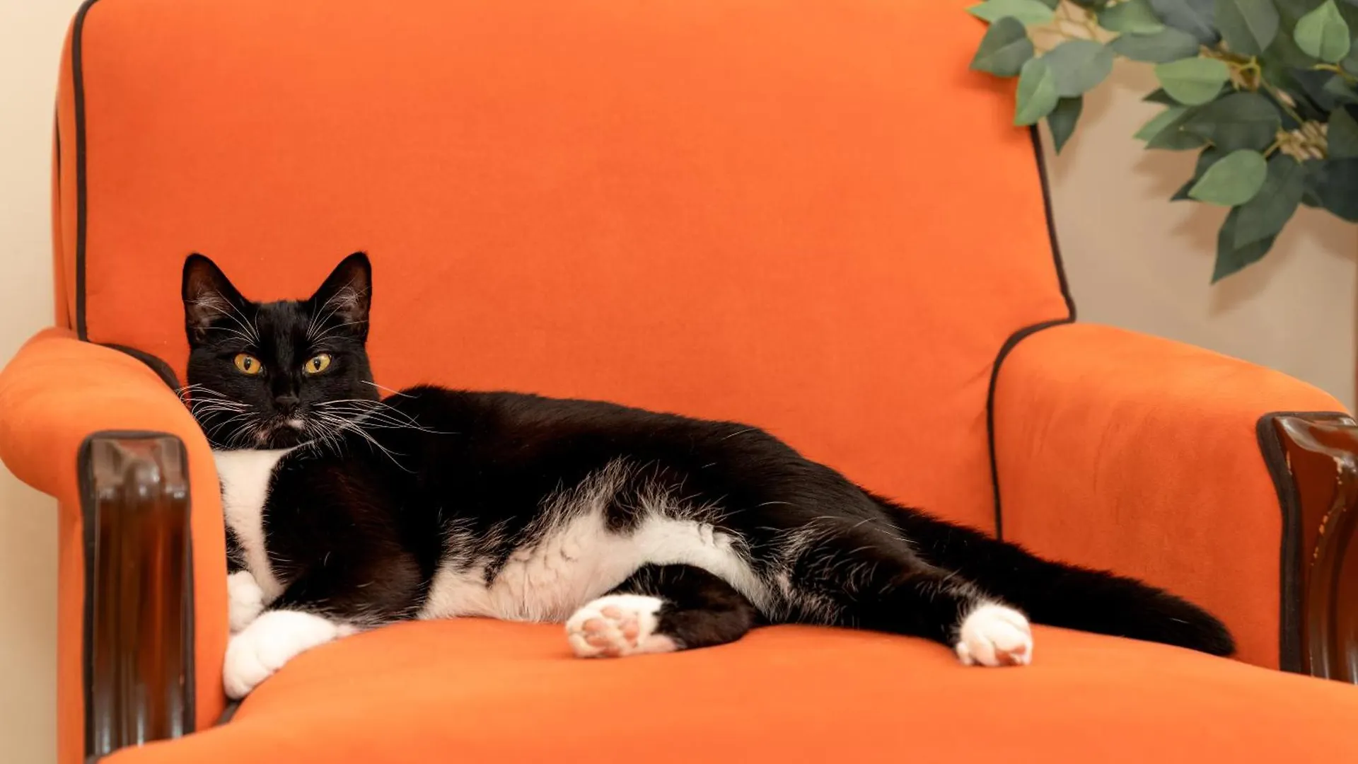 Quarto em Acomodações Particulares Room In Cozy House Close To Lawrence Ave, Wifi, Parking Toronto Canadá